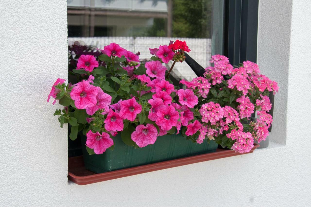 Ferienwohnung Heissl Fieberbrunn Exterior foto